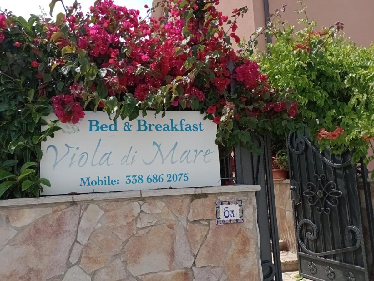 Viola Di Mare Rooms And Parking Termoli Exteriör bild